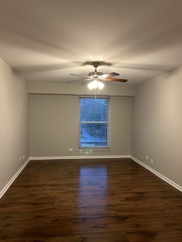 207 W Park Avenue 206, Libertyville, IL 60048
