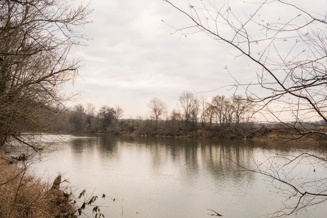 7050 Bakerville Rd, Waverly, TN 37185