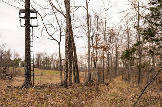 7050 Bakerville Rd, Waverly, TN 37185