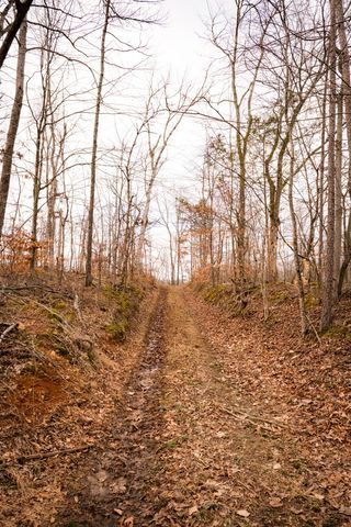 7050 Bakerville Rd, Waverly, TN 37185