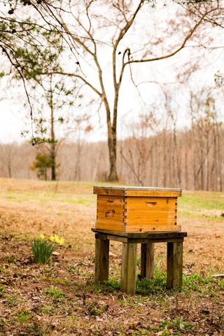 7050 Bakerville Rd, Waverly, TN 37185