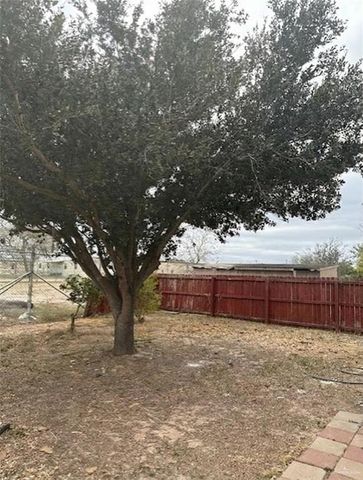 2924 N Brenda Street, Edinburg, TX 78541
