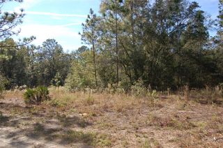 TDB SW 29 PLACE, Ocala, FL 34481