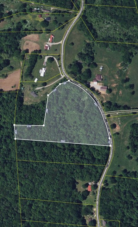 1 Crawley Hill Rd, Mount Pleasant, TN 38474