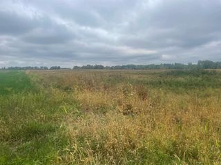 TBD E Denver Road, Rosebush, MI 48622