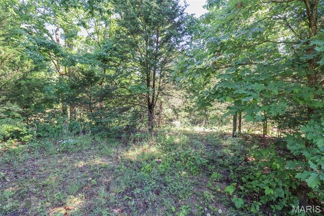 15785 Commander Drive, Dixon, MO 65459