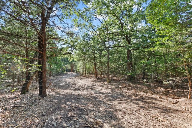 Tract 2 County Road 265, Collinsville, TX 76233