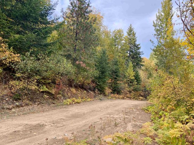 896 Rocky Mountain Rd, Newport, WA 99156