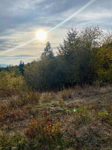 896 Rocky Mountain Rd, Newport, WA 99156