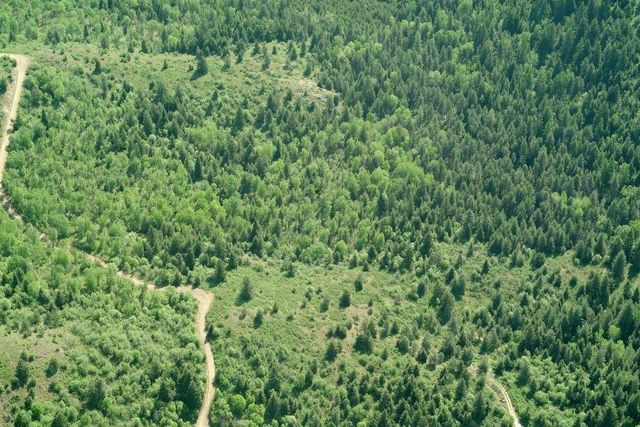 896 Rocky Mountain Rd, Newport, WA 99156