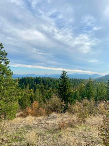 896 Rocky Mountain Rd, Newport, WA 99156