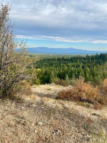 896 Rocky Mountain Rd, Newport, WA 99156