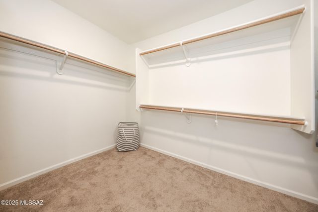 937 W Calle Tronco Seco, Sahuarita, AZ 85629