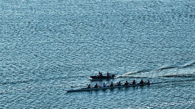 324 BAYSHORE DRIVE, Osprey, FL 34229