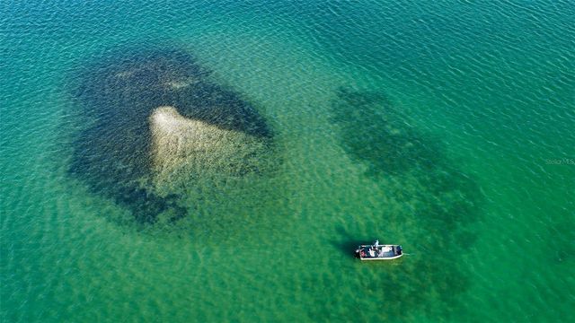 324 BAYSHORE DRIVE, Osprey, FL 34229