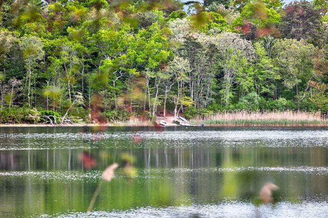 73 Pimlico Pond Road, Forestdale, MA 02644