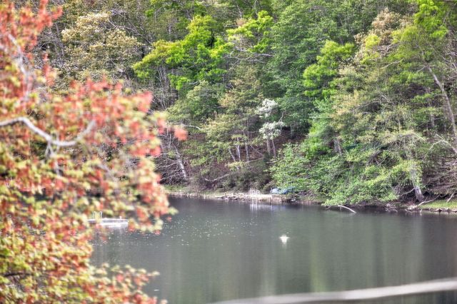 73 Pimlico Pond Road, Forestdale, MA 02644