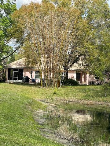 21007 LOS CABOS COURT, Land O Lakes, FL 34637