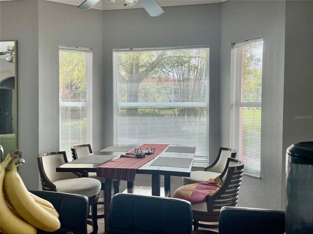 21007 LOS CABOS COURT, Land O Lakes, FL 34637