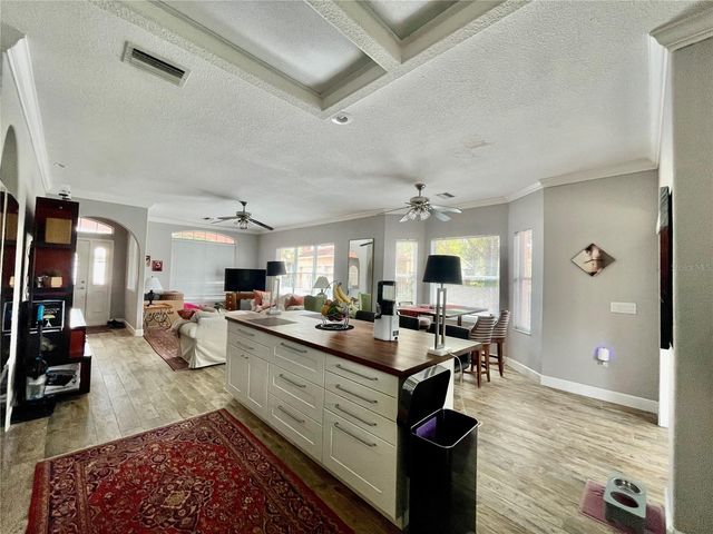 21007 LOS CABOS COURT, Land O Lakes, FL 34637