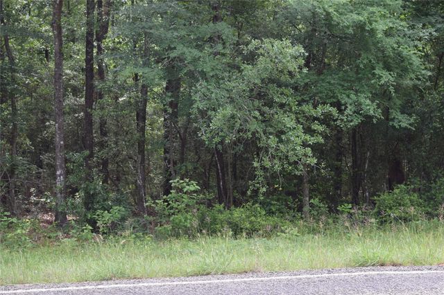 00 Fm 2665, Goodrich, TX 77335