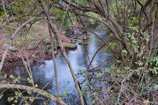 3900 Crestridge Dr, Nashville, TN 37204