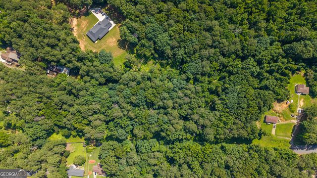 3.87 ACRES Delano Road, South Fulton, GA 30349