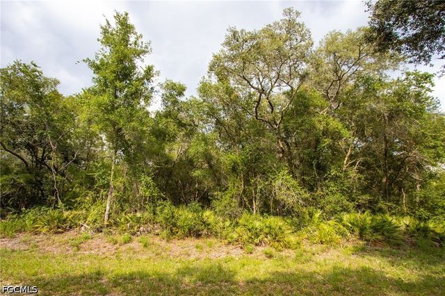 7478 N Canal ST, Webster, FL 33597