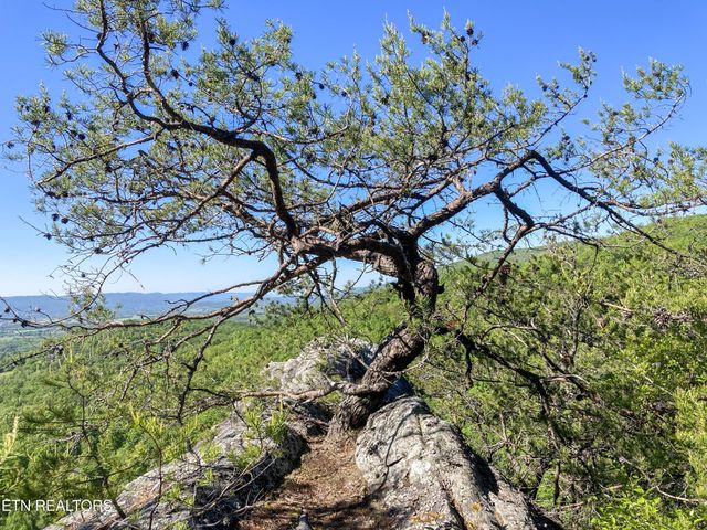 0 Old Spencer Road - 100 Acres, Pikeville, TN 37367