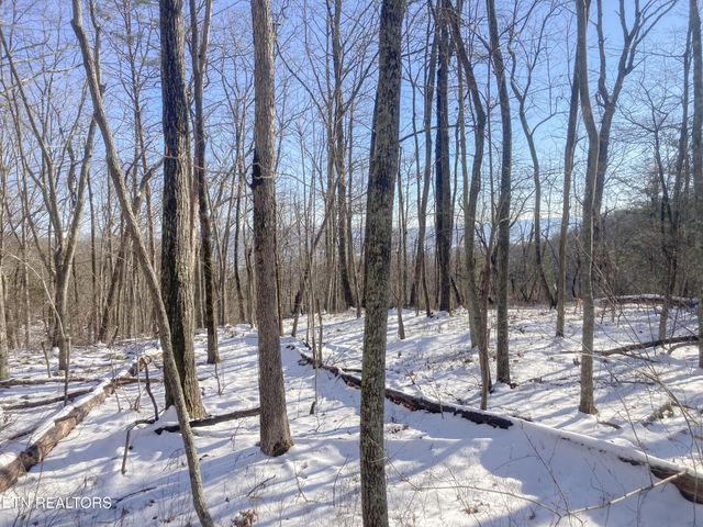 0 Old Spencer Road - 100 Acres, Pikeville, TN 37367