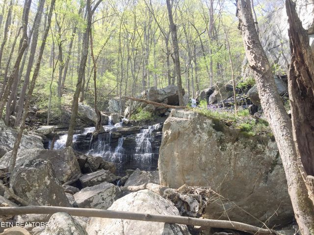 0 Old Spencer Road - 100 Acres, Pikeville, TN 37367