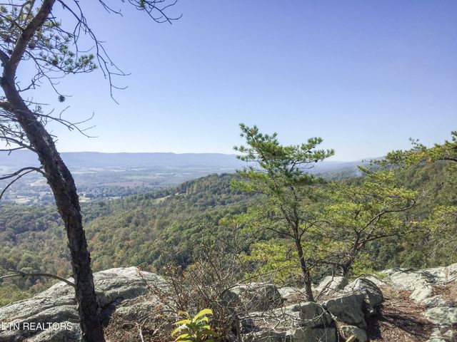 0 Old Spencer Road - 100 Acres, Pikeville, TN 37367