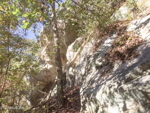 0 Old Spencer Road - 100 Acres, Pikeville, TN 37367