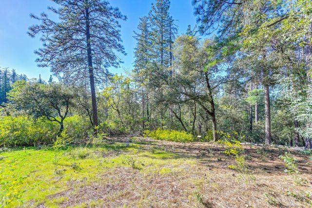 210 Meadow Gate Rd, Meadow Vista, CA 95722