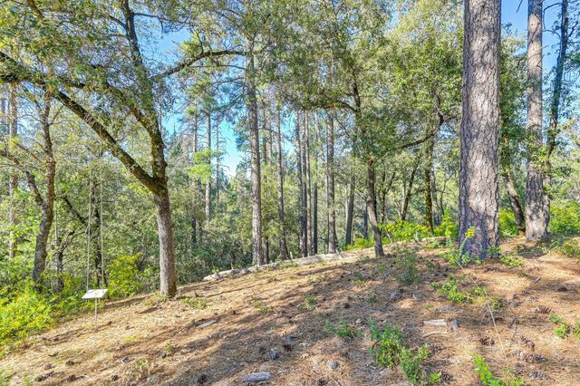 210 Meadow Gate Rd, Meadow Vista, CA 95722