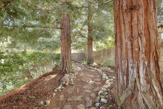 8772 Newry Ct, Elk Grove, CA 95624