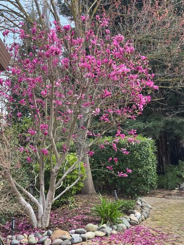 8772 Newry Ct, Elk Grove, CA 95624