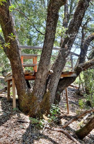 12825 Mierkey Rd, Pine Grove, CA 95665