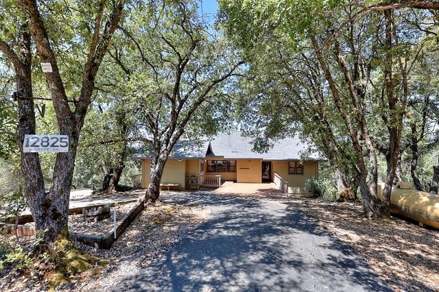 12825 Mierkey Rd, Pine Grove, CA 95665