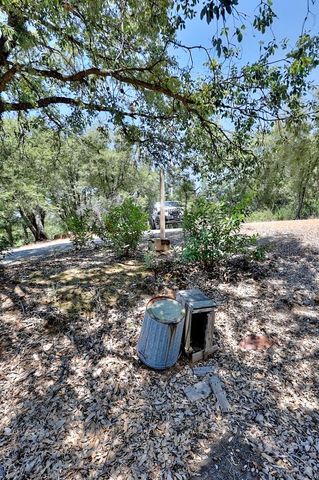 12825 Mierkey Rd, Pine Grove, CA 95665