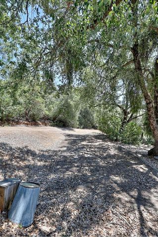 12825 Mierkey Rd, Pine Grove, CA 95665