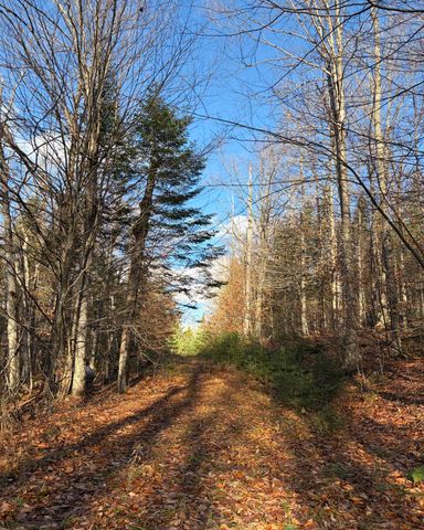 86 Jersey Drive, Lake Placid, NY 12946