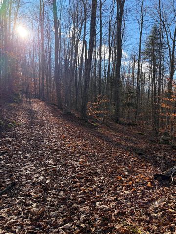 86 Jersey Drive, Lake Placid, NY 12946