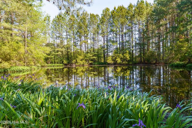 235 Griffin Lake Road, Vass, NC 28394