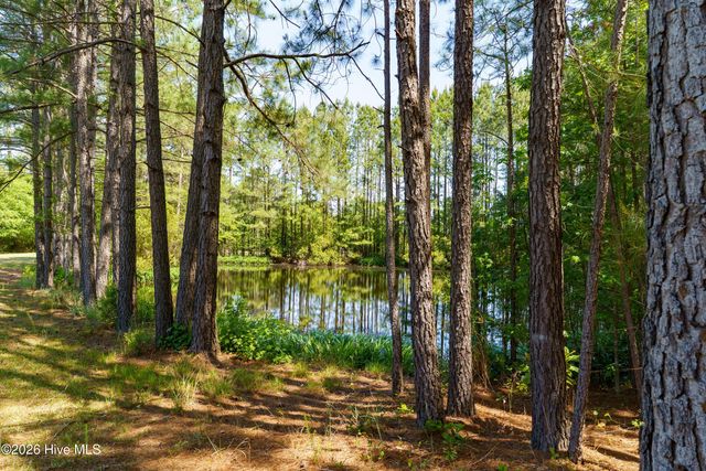 235 Griffin Lake Road, Vass, NC 28394