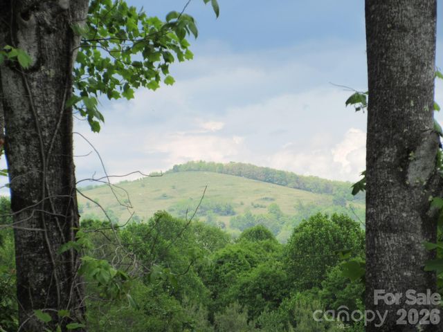 0 Rocky Top Trail 4, Hot Springs, NC 28743