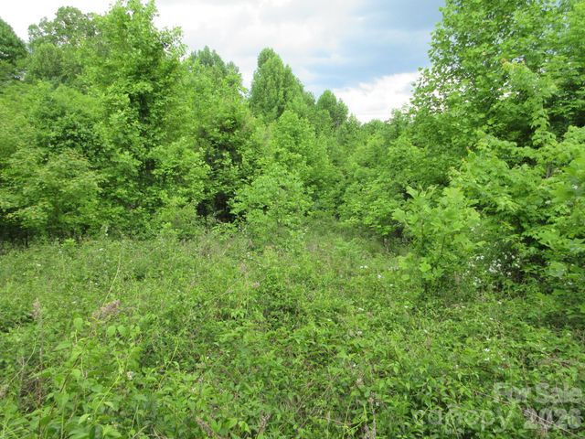 0 Rocky Top Trail 4, Hot Springs, NC 28743