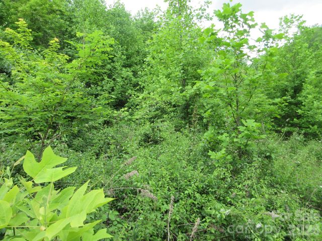 0 Rocky Top Trail 4, Hot Springs, NC 28743