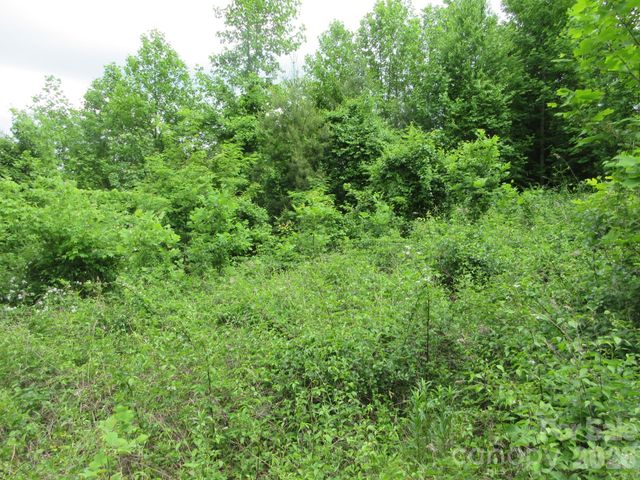 0 Rocky Top Trail 4, Hot Springs, NC 28743