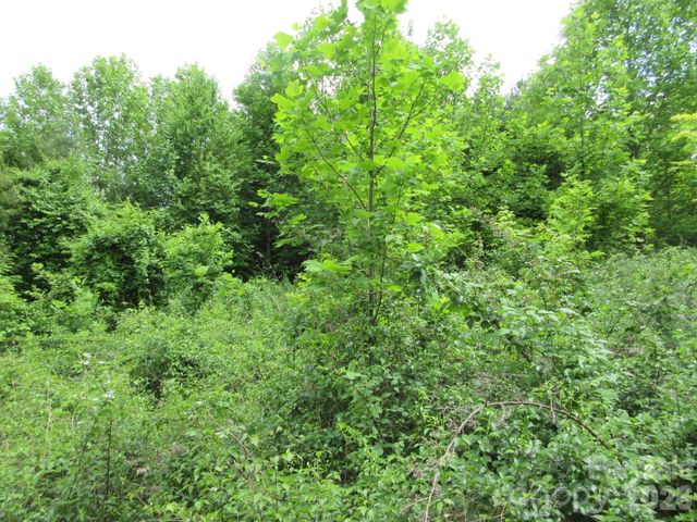 0 Rocky Top Trail 4, Hot Springs, NC 28743